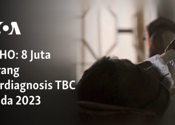 8 Juta Orang Terdiagnosis TBC pada 2023