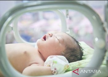 Perjalanan bayi prematur menuju kemampuan untuk minum