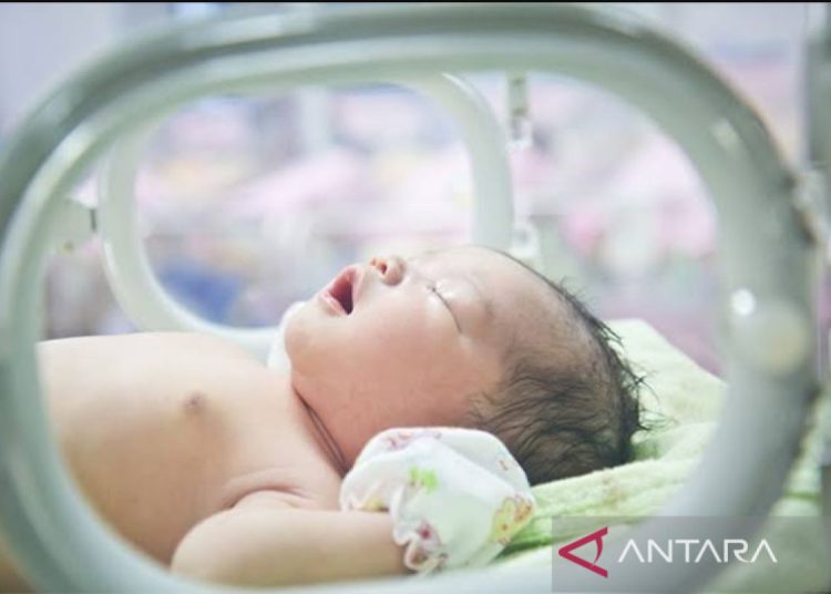 Perjalanan bayi prematur menuju kemampuan untuk minum
