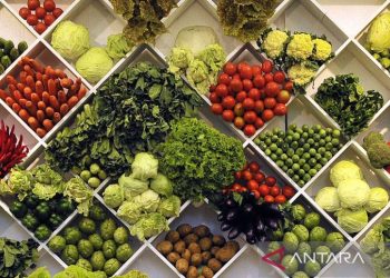 Dokter: Buah utuh lebih baik daripada jus untuk penderita diabetes