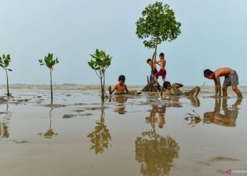 Pilih tidak punya anak (childfree), bagaimana hukumnya dalam Islam?