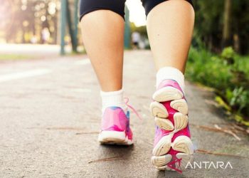 Studi menunjukkan berjalan kaki dapat tingkatkan harapan hidup