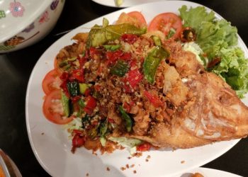 Ikan miliki zat gizi DHA yang tidak terdapat dalam sumber protein lain