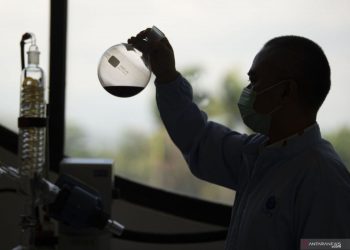 Jaga imun tubuh, kunci atasi tuberkulosis