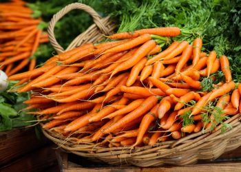 Wabah E. coli dikaitkan dengan wortel organik