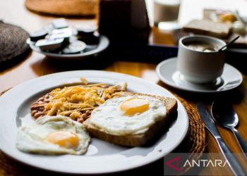 Pentingnya mengkonsumsi kaya lemak saat sarapan bagi perempuan
