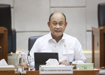 Badan Gizi Nasional: pengertian, tugas dan fungsinya