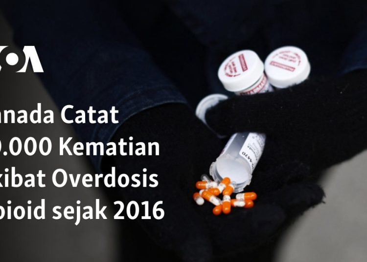 Kanada Catat 50.000 Kematian Akibat Overdosis Opioid sejak 2016