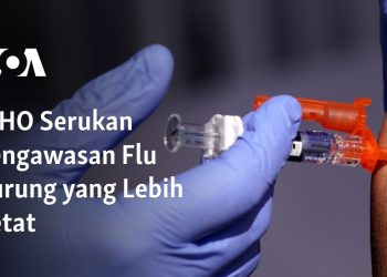 WHO Serukan Pengawasan Flu Burung yang Lebih Ketat 