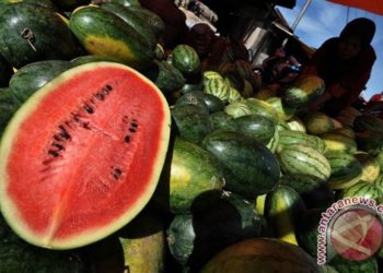 Manfaat mengonsumsi buah semangka bagi kesehatan 