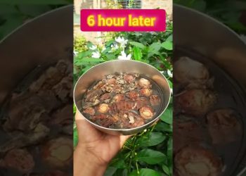 Reetha shikakai dan sampo kering amla herbal buatan sendiri untuk pertumbuhan rambut alami #shorts
