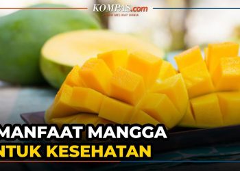 Kaya Akan Manfaat, ini 9 manfaat mangga unkehatan