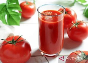 Satu porsi jus elderberry bisa bantu turunkan berat badan