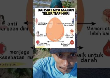 tips sehat, dahsyatnya makan telur setiap hari #tips #sehat #makanan #bergizi #kesehatan #kesehatan