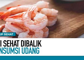 Udang, Hewan Laut Gelan Gizi Segudang | Hidup Sehat Tvone