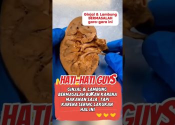 Emosimu Tentukan Kesehatanmu #viralshort #kesehatan #faktaunik #edukasi
