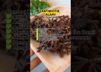 Antibiotik Alami Dari Bahan Herbal