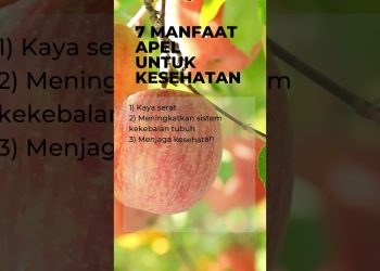 7 Manfaat apel unkehatan: Pengaruh Mengejutkan Buah Apel Pada Tubuh Anda