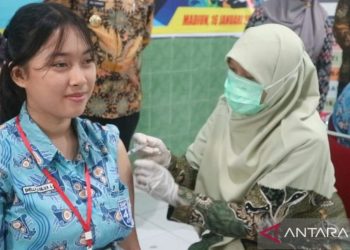 Ahli sarankan langkah preventif cegah infeksi kanker serviks
