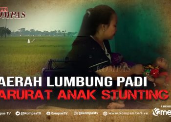 Miris! Banyak Anak Stunting Di Daerah Lumbung Padi Karawang | Berkas Kompas