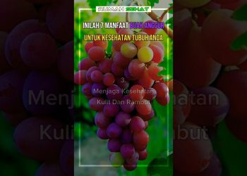 Inilah 7 Manfaat Buah anggur unkehatan tubuh anda
