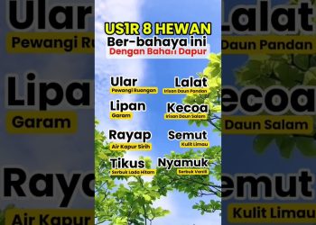 #tips #tipsandtricks #lifehacks #tipssehat #infosehat #sehat #kesehatan #healthylife #hewan
