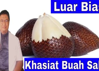 Manfaat Buah Salak TUKUTAN KESEHATAN TUBUH KITA