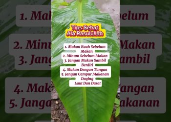 Tips Sehat Ala Rasulullah