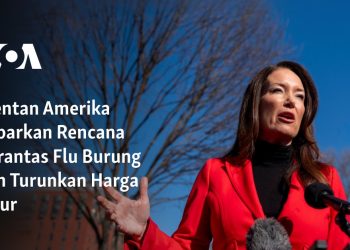 Mentan Amerika Paparkan Rencana Berantas Flu Burung dan Turunkan Harga Telur