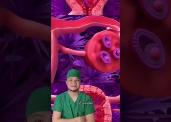 Begini proses menstruasi pada wanita hingga monopause #kesehatan #kesehatanwanita  #fujiassahar