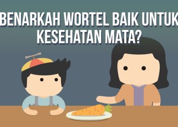 Benarkah Wortel Baiktel unkehatan mata? (Ft. Zywielab)