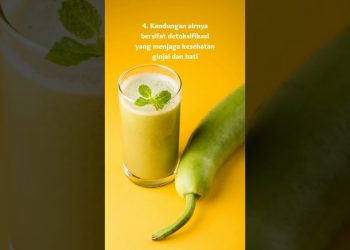 7 Manfaat Labu Air Bagi Kesehatan #Shorts #Sayur