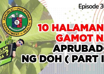 Alam Niyo Ba? Episode 306⎢’10 Tanaman herbal yang disetujui oleh DOH Bagian 1 ‘