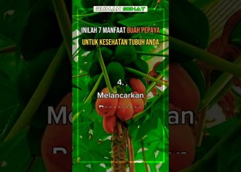 7 Manfaat Buah Pepaya TUKUH KESEEHATAN TUBUH ANDA