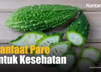 5 Manfaat Pare FULUK KESEHATAN