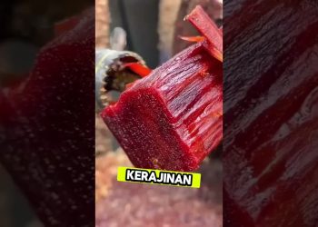 manfaat kayu secang #herbal #manfaat #idejualan