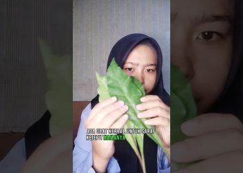 Obat Saraf Kejepit #herbal #reels #shortvideo #shorts #viral #fyp #sarafkejepit #like